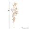 Uniquewise Preserved Real Floral Stems Chic Vase Fillers & Accents for Bouquets Centerpieces & Ornamental Displays Ideal for Home Office Boutique Cafe Resto Bar and Event Decor